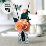 [It's My Flower] Birth of September Dahlia diffuser set (Peach), Air Freshener _ Made in KOREA